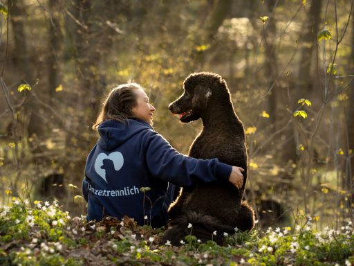 Frau sitzt im Wald und schaut liebevoll ihren schwarzen Hund an, beim Fotoshooting für mensch und Tier